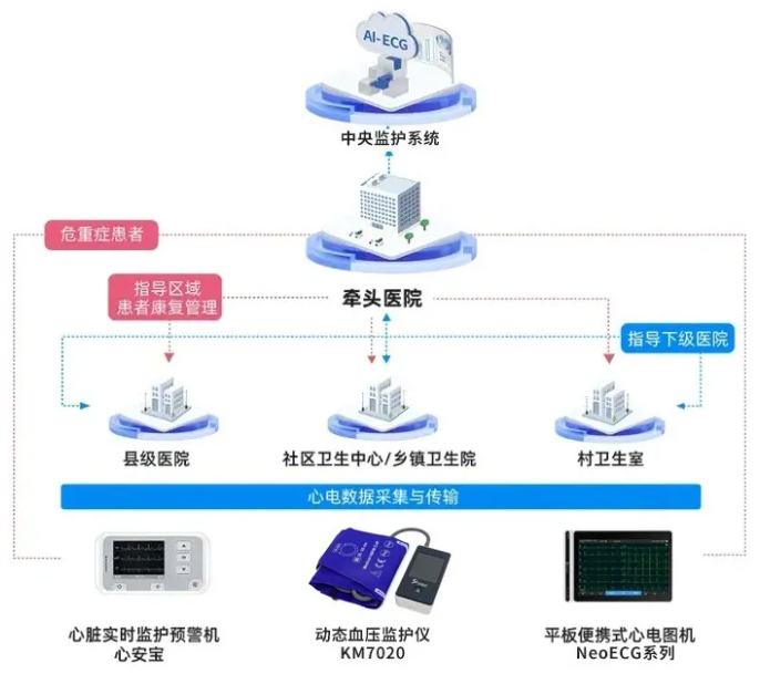 心电一张网